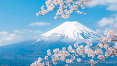 Mt Fuji