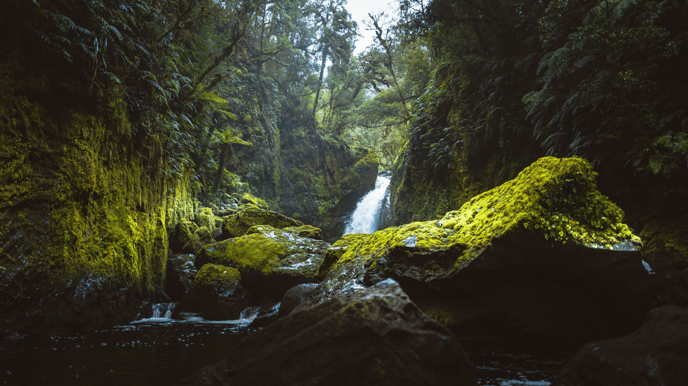 Fiordland National Park