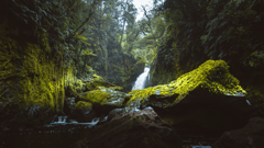Fiordland National Park