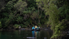 Fiordland, New Zealand