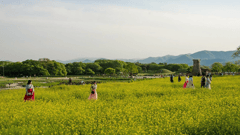 Gyeongju Cotaro