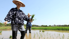 Hokkaido Workers