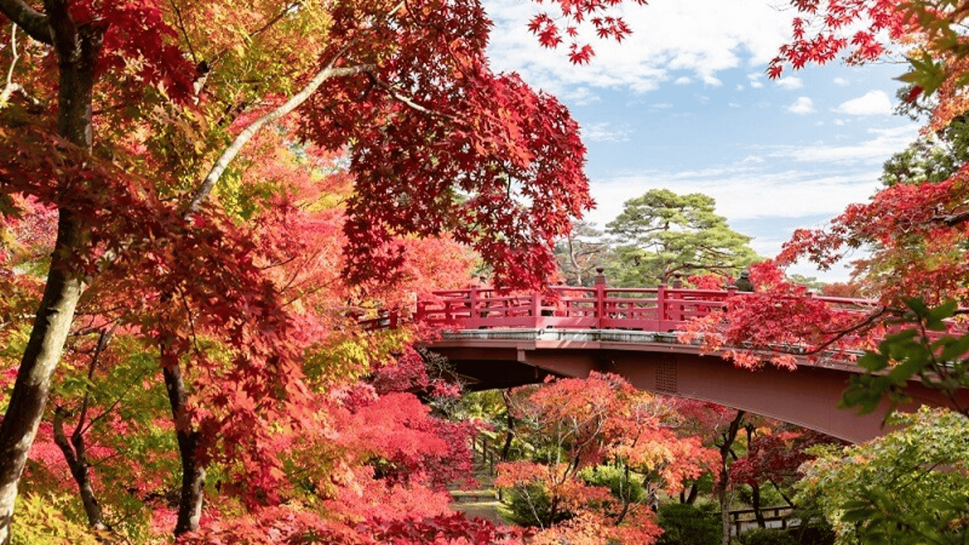Nigata Yahiko Park