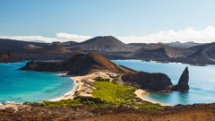 Walk in Darwin’s footstep on Santiago Island.