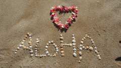 Aloha!  Welcome to Hawaii 