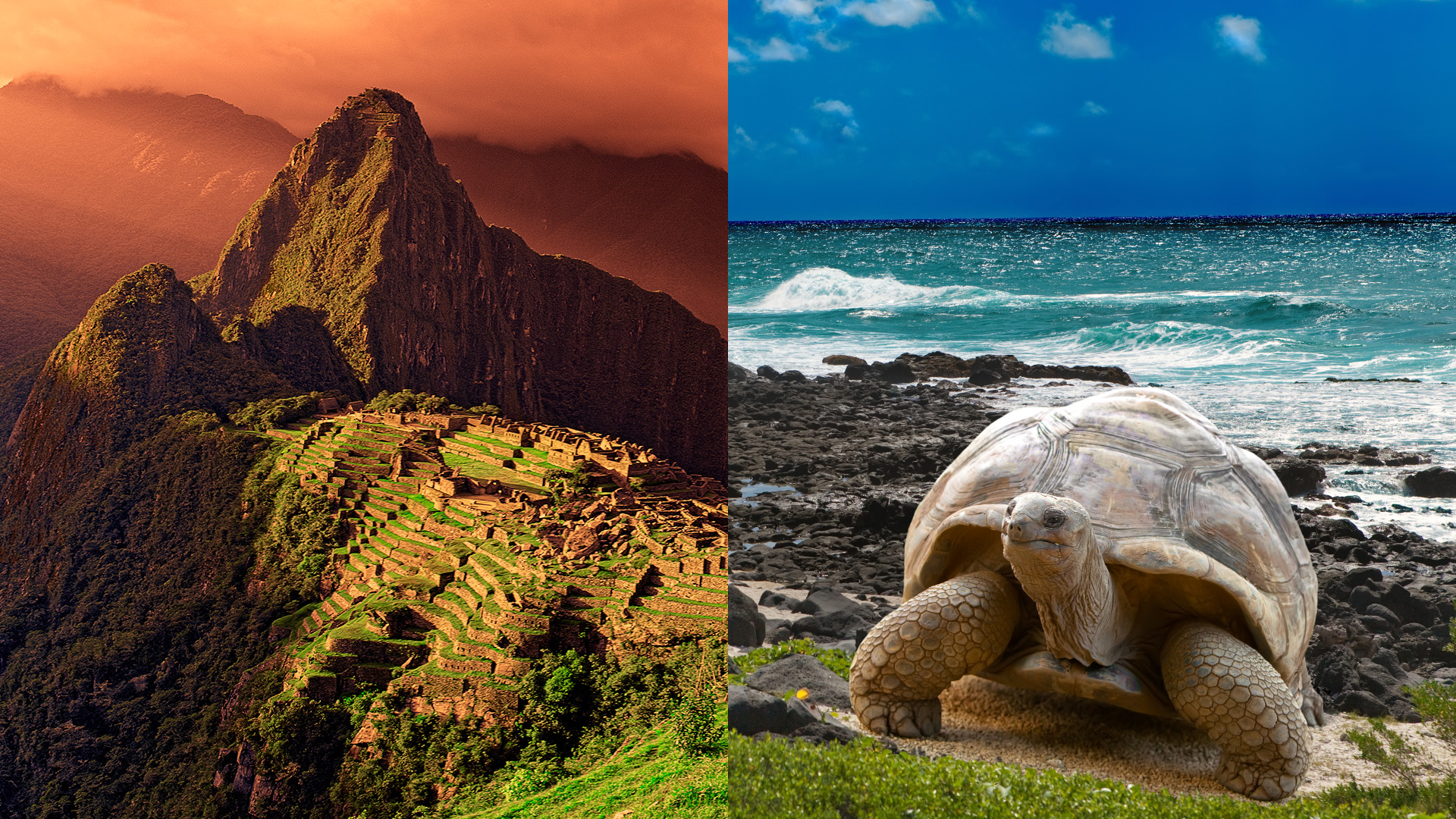 See Machu Picchu And The Galapagos Islands On One Amazing Bucket List ...