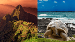 Machu Picchu / Galapagos