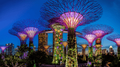 Singapore Gardens lighting up the night 