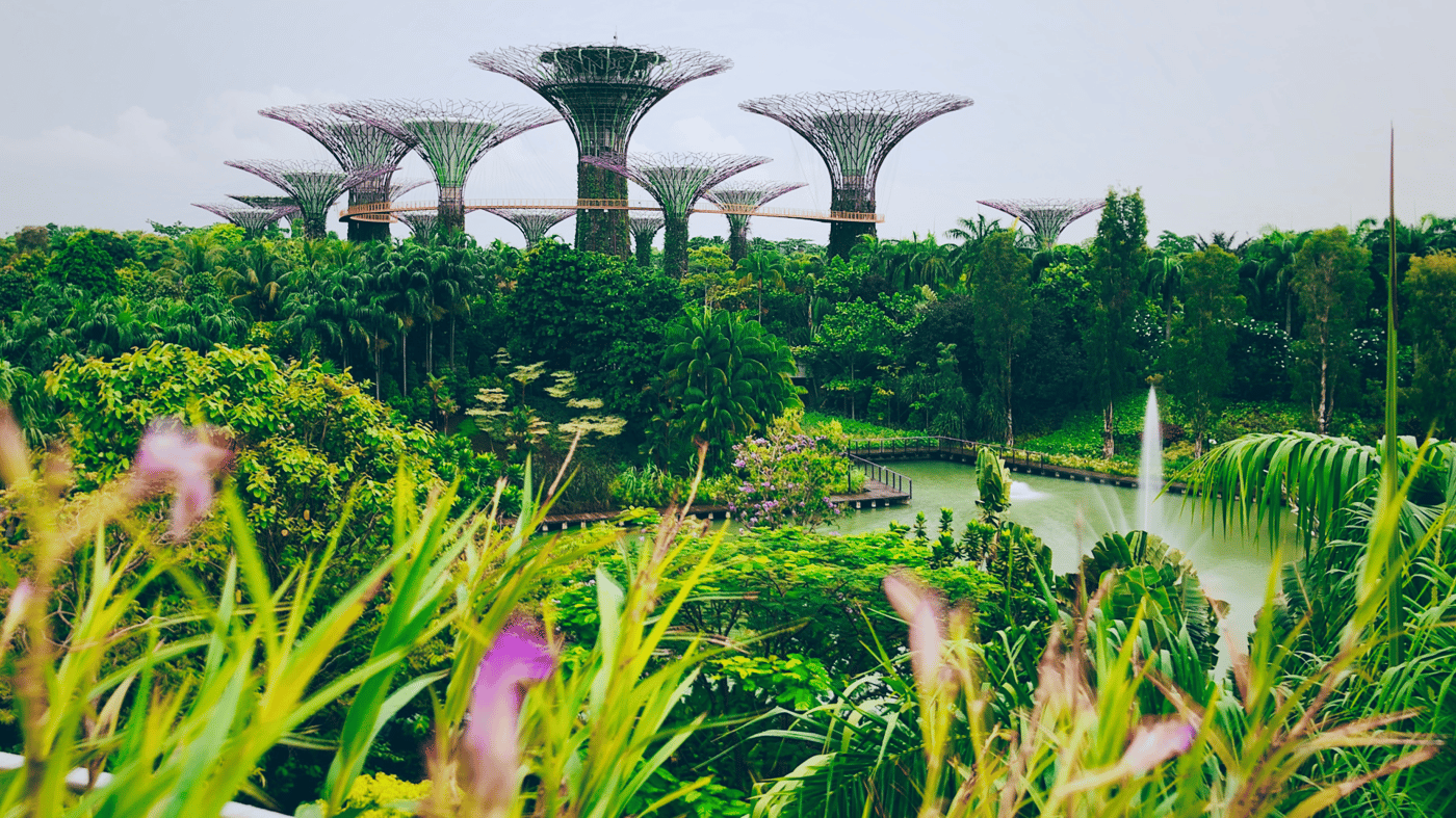 Gardens by the Bay  