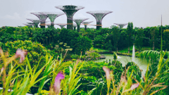 Gardens by the Bay  
