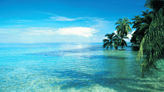 Moorea, French Polynesia