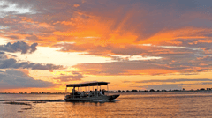 Boat Excursions