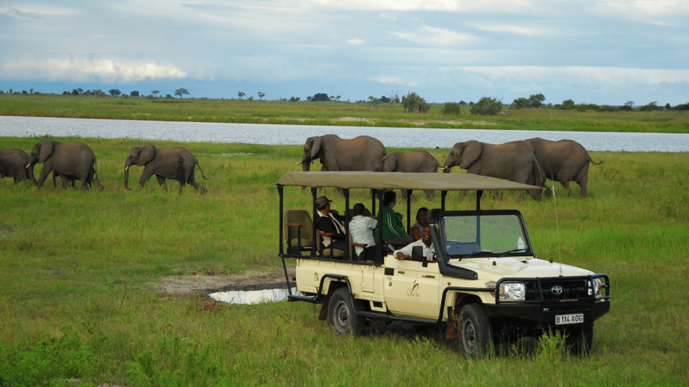 Game Drives