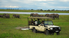 Game Drives