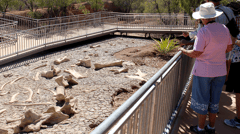 Australian Age of Dinosaurs, Fossil bones on display 