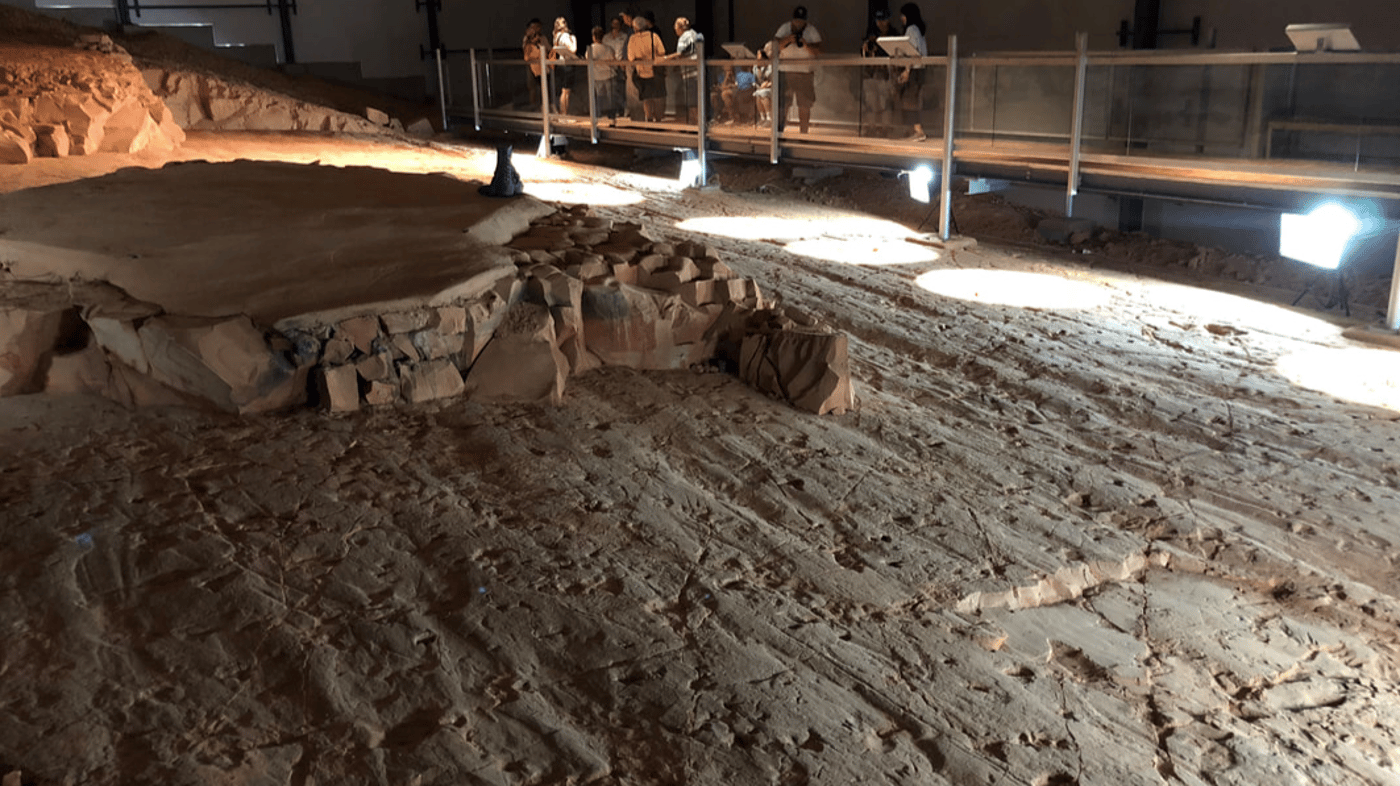 Step back in time to the dinosaur stampede at Lark Quarry Conservation Park