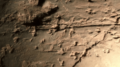 See 3300 dinosaur footprints that show a snapshot of the ancient environment and dinosaur behaviour from 95 million years ago