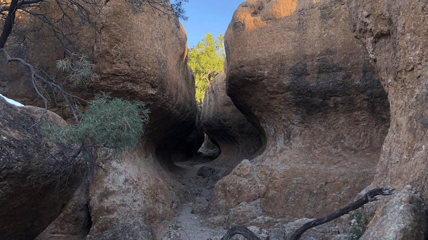 Rangelands Rifts