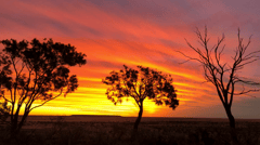 See some truly spectacular outback sunsets