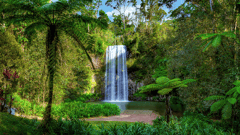 Cairns, Australia