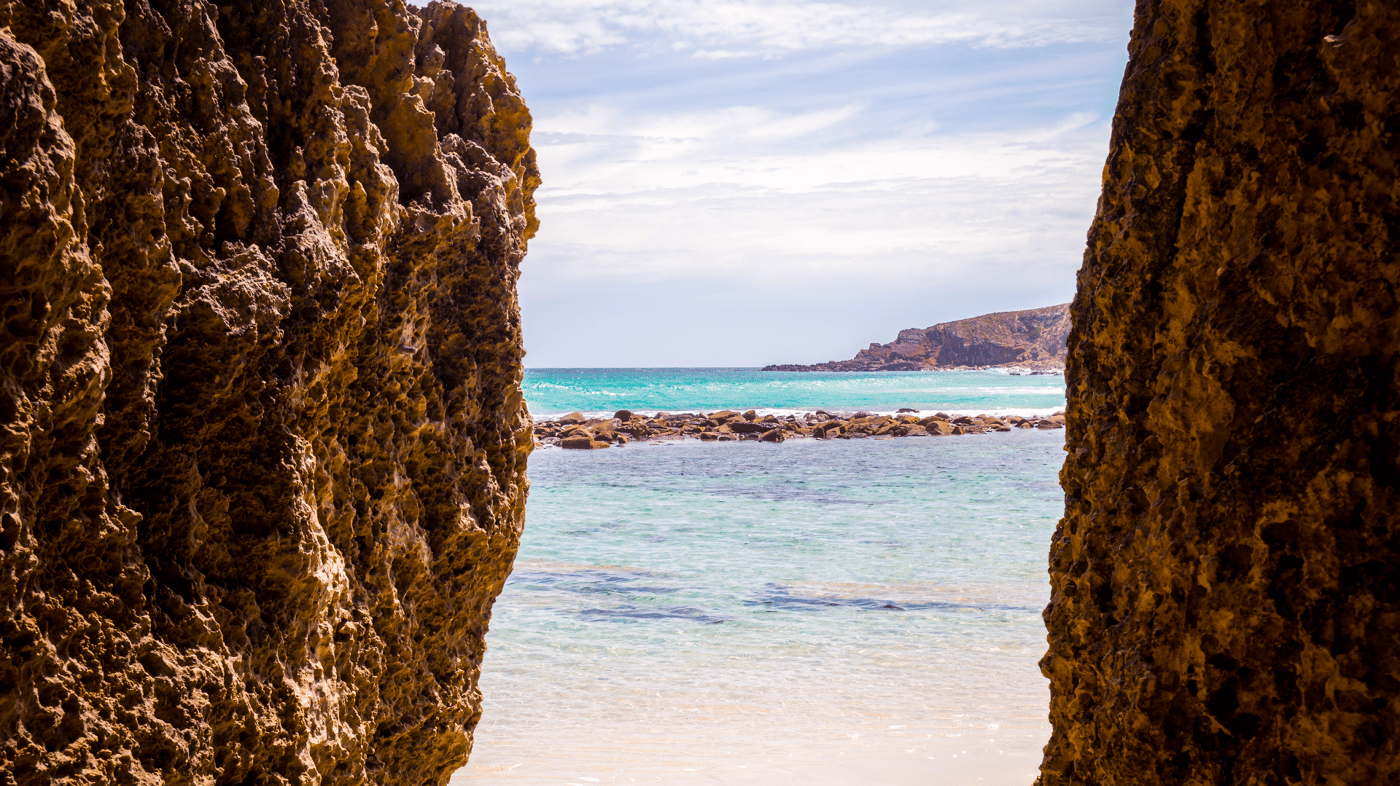 Tick Kangaroo Island off your list on the way home