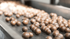 Enjoy delicious treats (plus a unique high tea) at an iconic macadamia farm 
