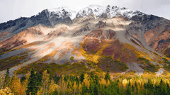 Dutch Harbor (Aleutian Islands), Alaska
