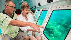 See the marine life from the glass bottom boat on your day out on the Great Barrier Reef