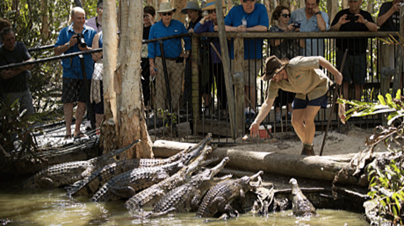 Hartley’s world famous Crocodile Attack Show, included in your entry ticket. 