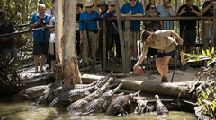 Hartley’s world famous Crocodile Attack Show, included in your entry ticket. 