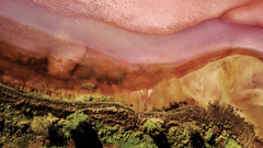 Bumbunga Pink Lake, South Australia 