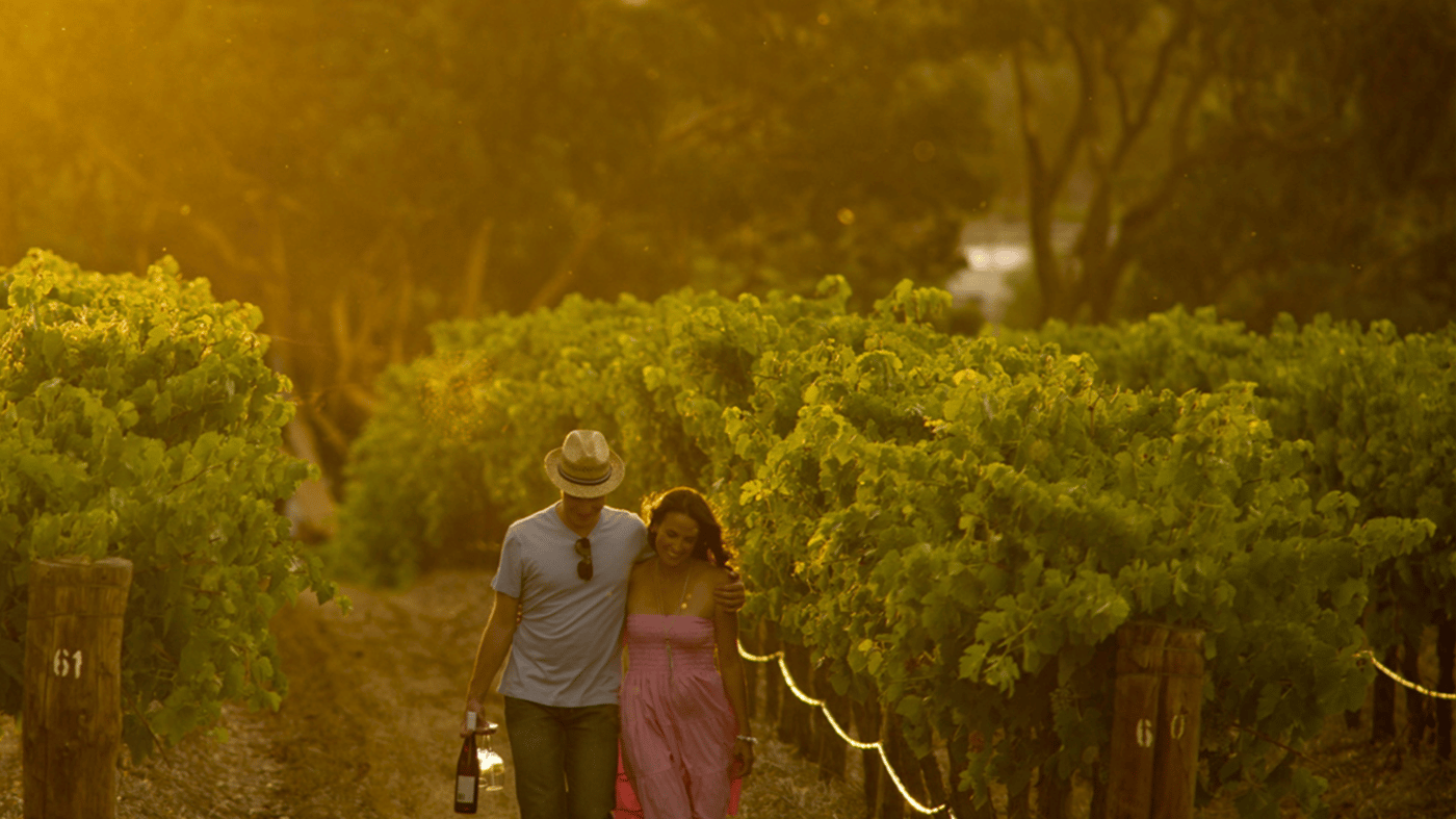 Pikes Wines, Clare Valley 