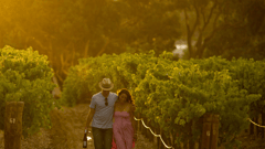 Pikes Wines, Clare Valley 