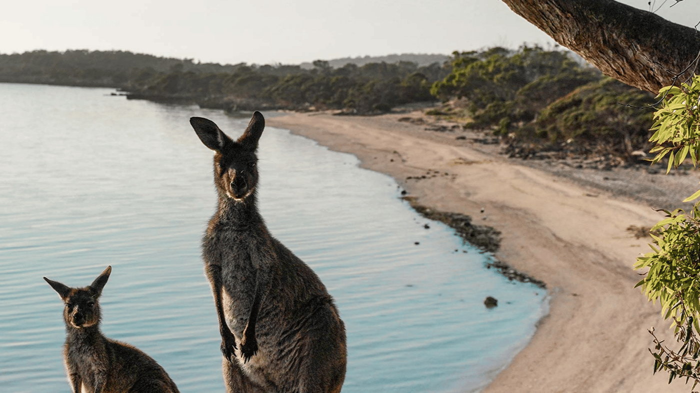 Coffin Bay, 
