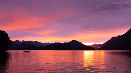 Fiordland National Park  at Sunset 