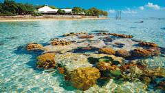 Heron Island & Reef, Australia 