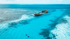 Heron Island, Australia