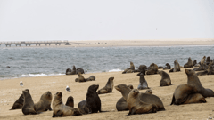 Walvis Bay, Namibia - Although rimmed by the inhospitable Namib Desert, Walvis Bay boasts a huge natural lagoon 
