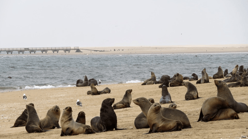 Walvis Bay, Namibia - Although rimmed by the inhospitable Namib Desert, Walvis Bay boasts a huge natural lagoon 