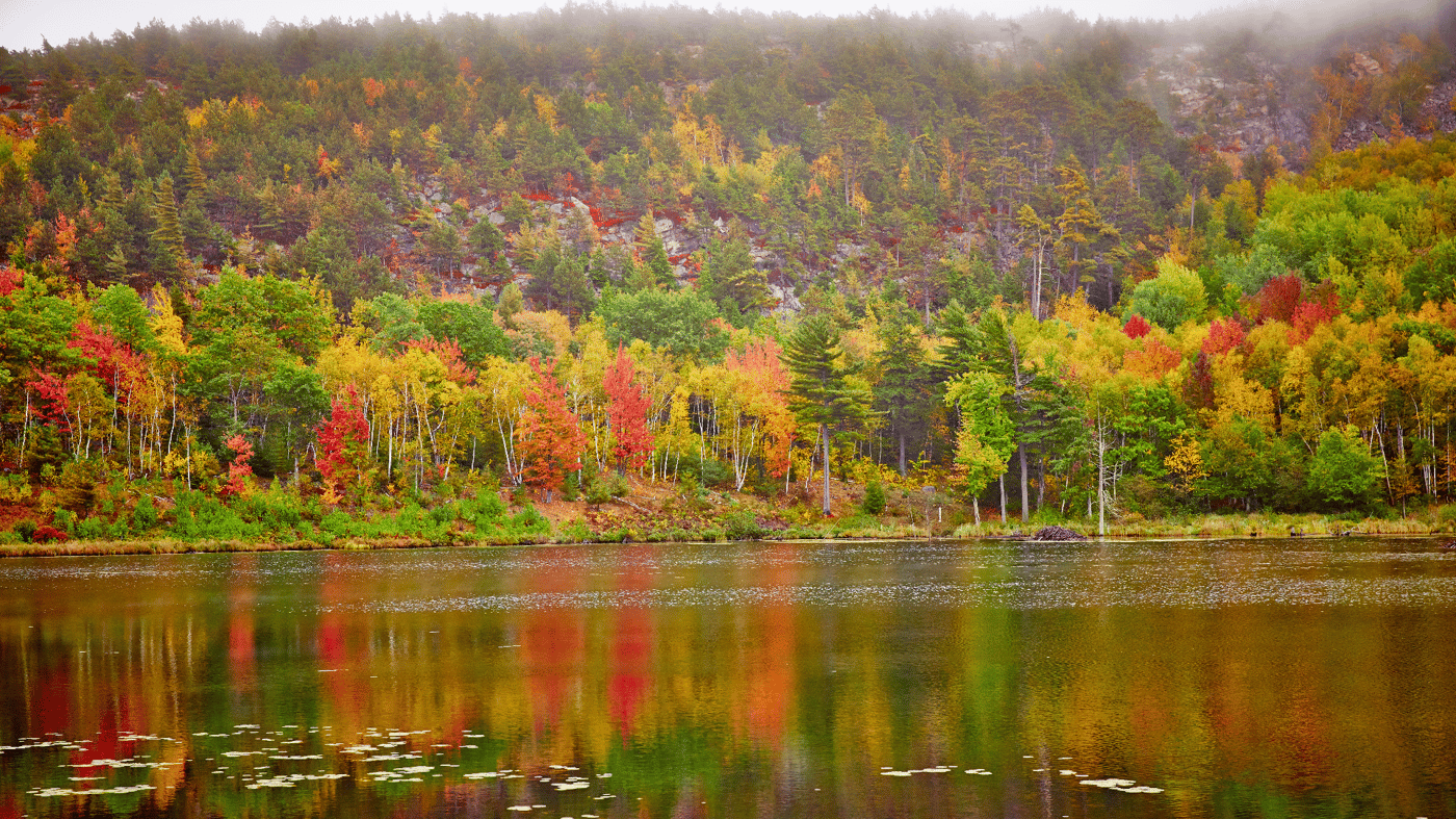 Experience New England during one of the most picturesque times of the year