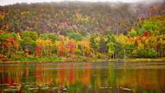 Experience New England during one of the most picturesque times of the year