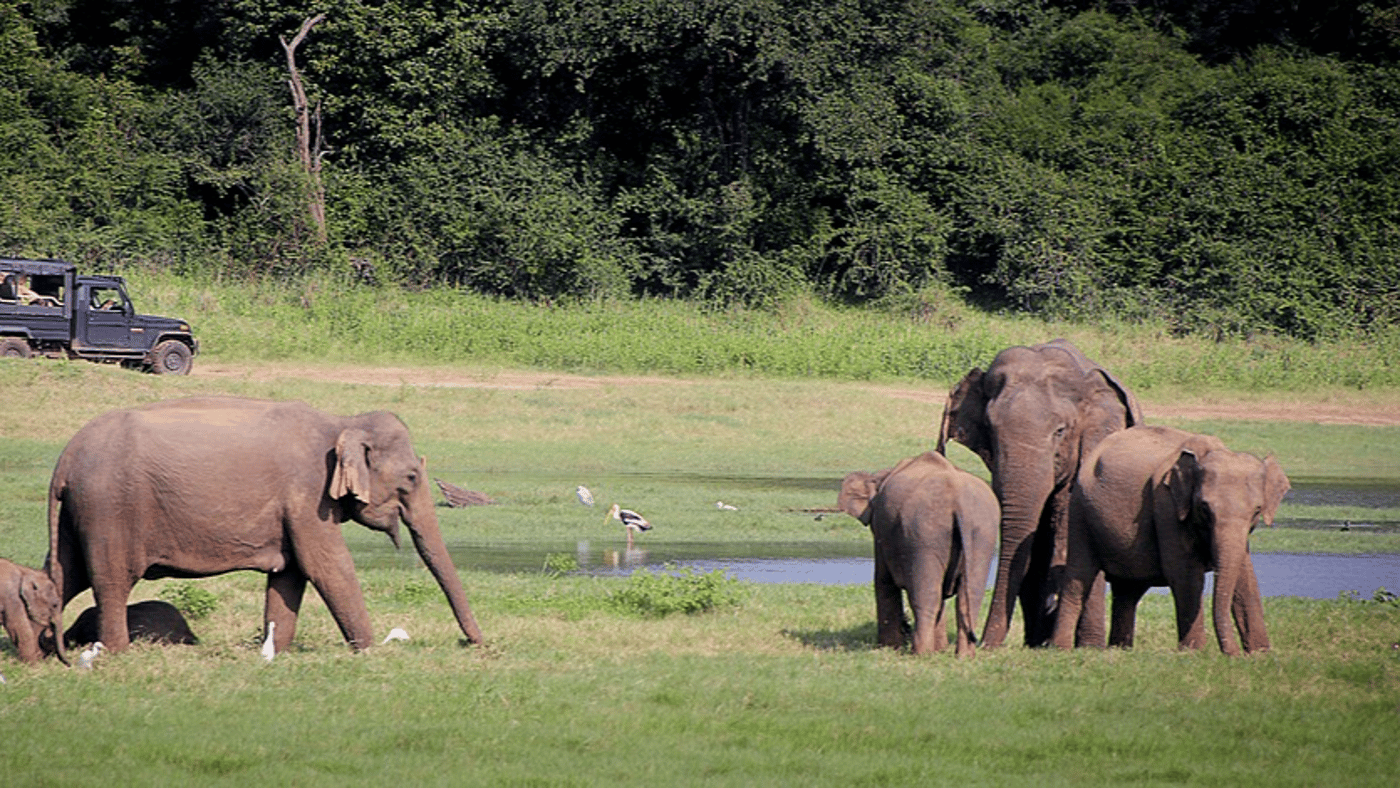 YALA NATIONAL PARK