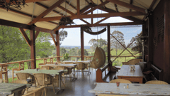 Indulge in cheese tasting at Bodalla Dairy Shed