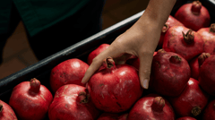 Food Tours Australia