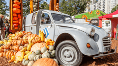 Melbourne International Flower & Garden Show
