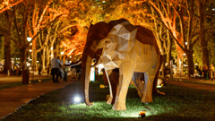 Gardens by Twilight, Melbourne International Flower & Garden Show
