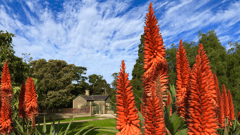 Werribee Park