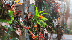 Melbourne International Flower & Garden Show 