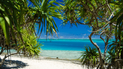 Mystery Island, Vanuatu 