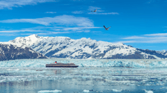 Hubbard Glacier - Witness the grace and brilliance of glacial formations and towering icebergs in action as you sail by a highlight of Alaska’s many coastal wonders.